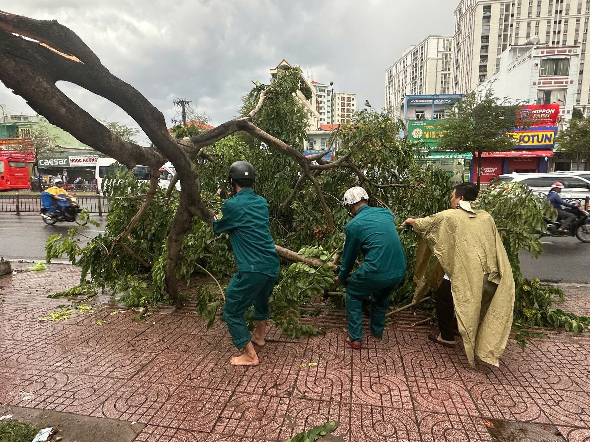 Ban CHQS Phường An Lạc, Tp HCM Kịp Thời Khắc Phục Sự Cố Cây Ngã Do Mưa Dông, Gió Lớn - 12